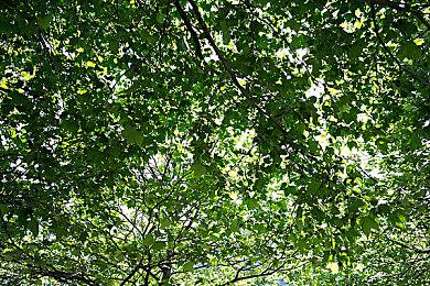 越来越多的大型零售商开始停售Xbox主机